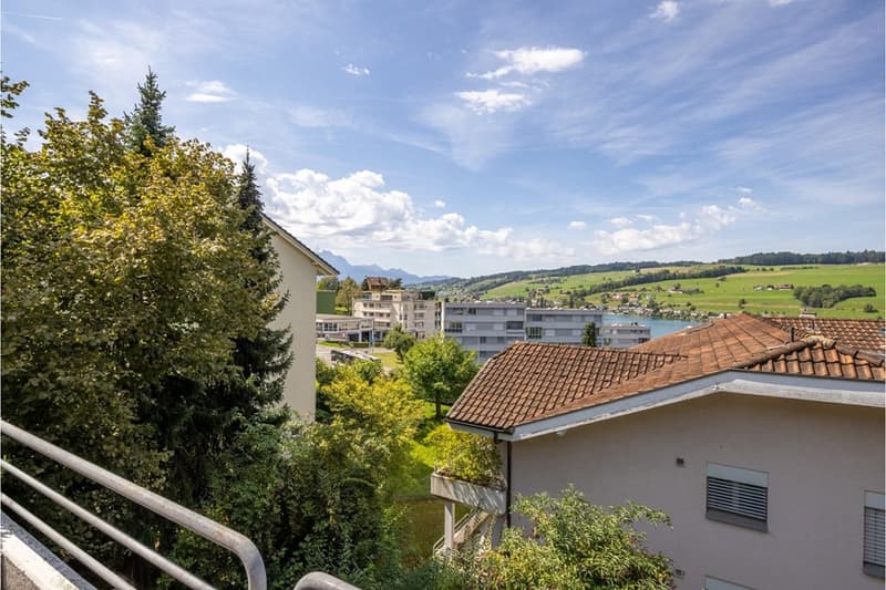 Grosszügige und aussergewöhnliche 4.5-Zimmer-Maisonettewohnung - 210 m² Wohnfläche auf zwei Ebenen (6)