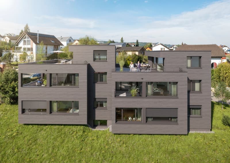 Exklusives Doppeleinfamilienhaus in Holzbauweise an zentraler Lage in Ehrendingen (2)