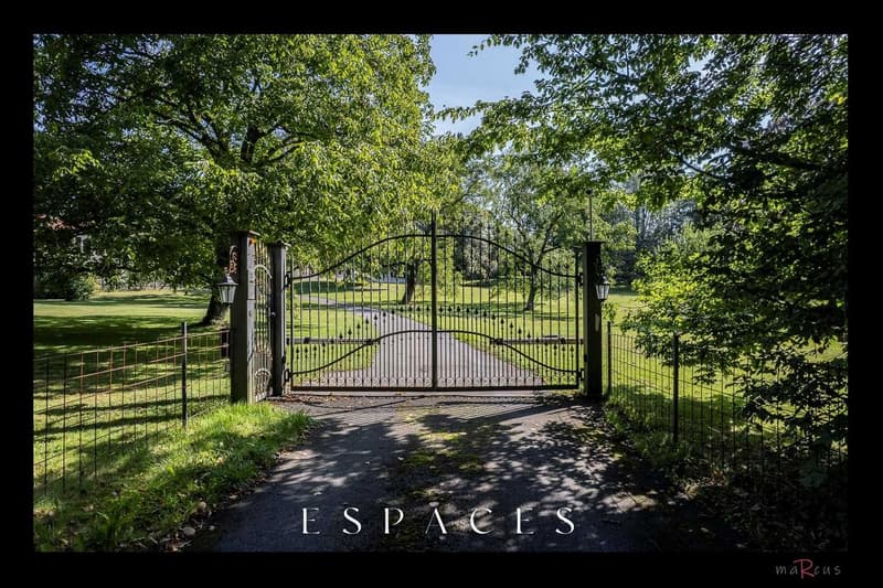 gate, lawn, trees, shadows, grass, fences