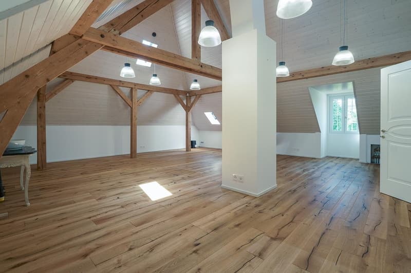 wooden floor, wooden beams, skylights, ceiling lamps, wall outlets
