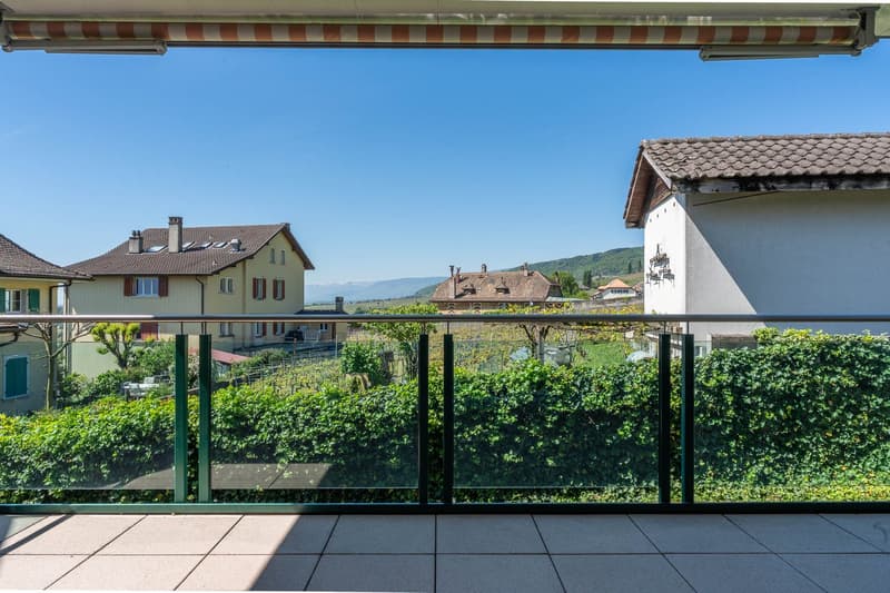 Magnificent 4.5-room apartment in Mont-sur-Rolle (5)