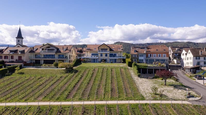 Bursinel - 3.5-room apartment with panoramic view of the lake and the Alps (13)