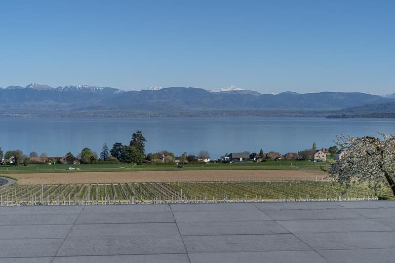 Bursinel - 3.5-room apartment with panoramic view of the lake and the Alps (5)