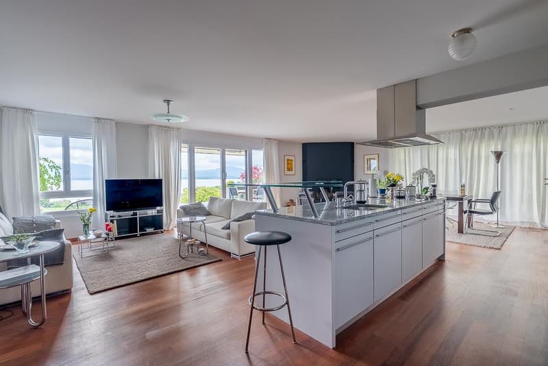Bursinel - 3.5-room apartment with panoramic view of the lake and the Alps (6)