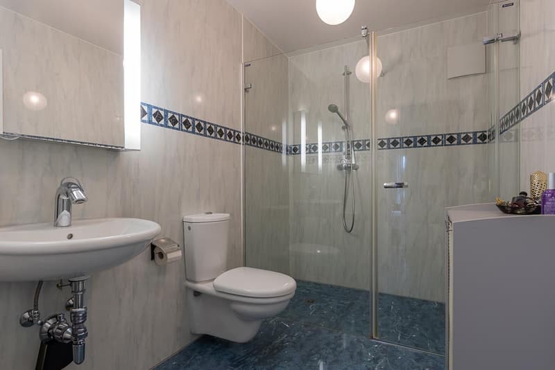Bursinel - 3.5-room apartment with panoramic view of the lake and the Alps (12)