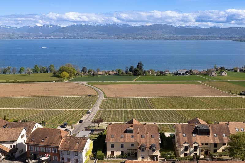 Bursinel - 3.5-room apartment with panoramic view of the lake and the Alps (14)