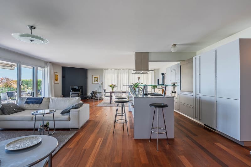 Bursinel - appartement de 135 m2 habitables avec terrasse de 116 m2, face au lac et aux Alpes (10)