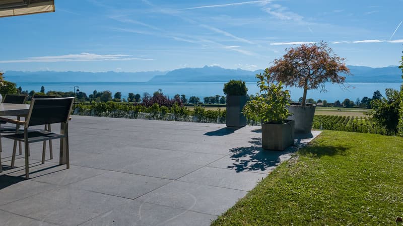 Bursinel - appartement de 135 m2 habitables avec terrasse de 116 m2, face au lac et aux Alpes (2)