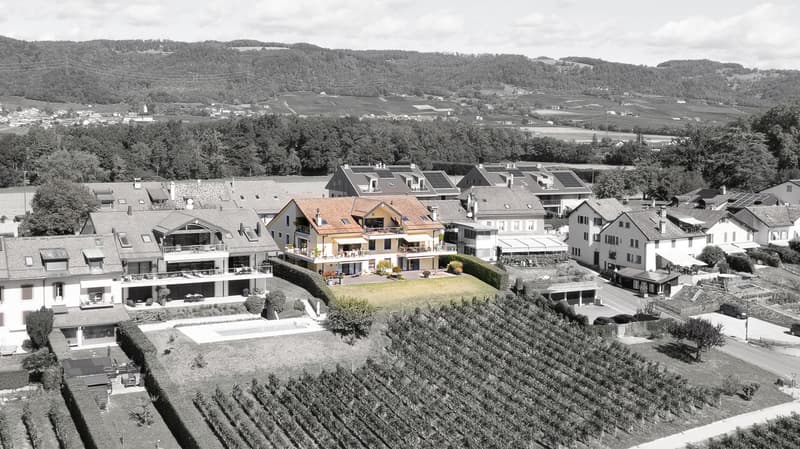 Bursinel - appartement de 135 m2 habitables avec terrasse de 116 m2, face au lac et aux Alpes (3)