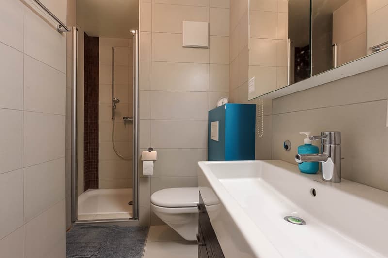 Etoy centre - appartement de 4,5 pièces avec terrasse et jardin (5)