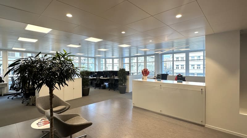 modern open plan office, bright windows, desks, grey chairs, potted plants, carpet floor, ceiling lamps, reception desk, small round table, brochures