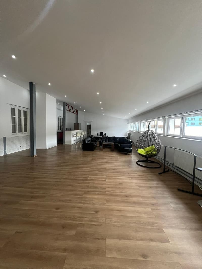 large room, wooden floor, white walls, black furniture, round hanging chair, windows