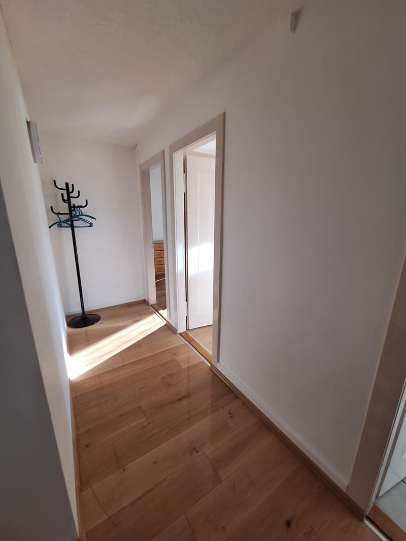 Charmant appartement 2 pièces à Schönenwerd (2)