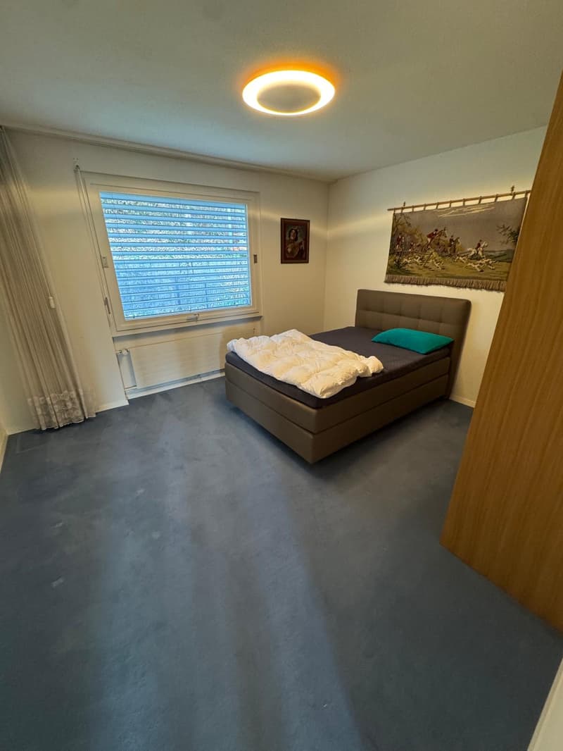 Grosszügiges 9.5-Zimmer-Einfamilienhaus in ruhiger Lage in Kriens (19)