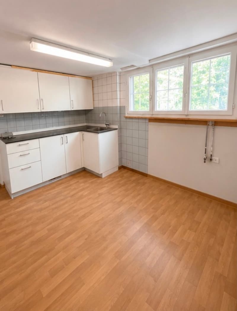 Helle 3-Zimmer-Wohnung mit schöner Aussicht auf den See in Küssnacht (4)