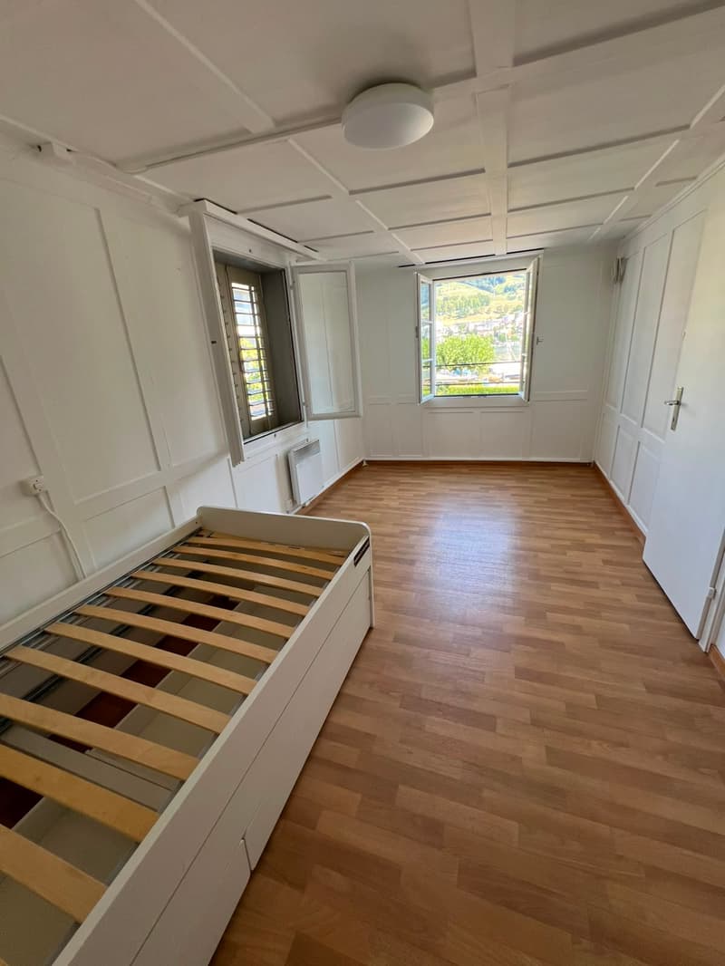 Helle 3-Zimmer-Wohnung mit schöner Aussicht auf den See in Küssnacht (3)