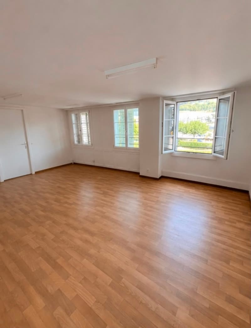 Helle 3-Zimmer-Wohnung mit schöner Aussicht auf den See in Küssnacht (1)