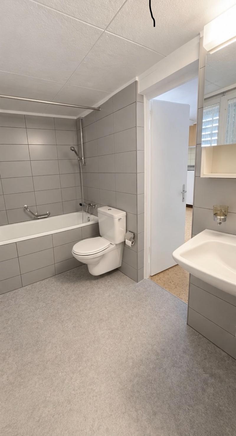 Gemütliche 2-Zimmer-Wohnung in Küssnacht mit schöner Aussicht auf den See (5)