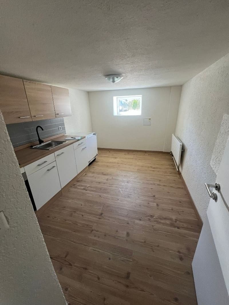 Gemütliche 3-Zimmer-Wohnung in Kriens – sofort verfügbar! (1)