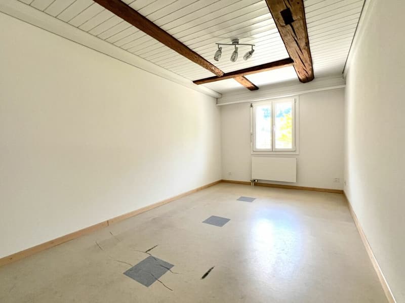 MAISONETTE WITH TERRACE AND WONDERFUL MOUNTAIN PANORAMA (15)