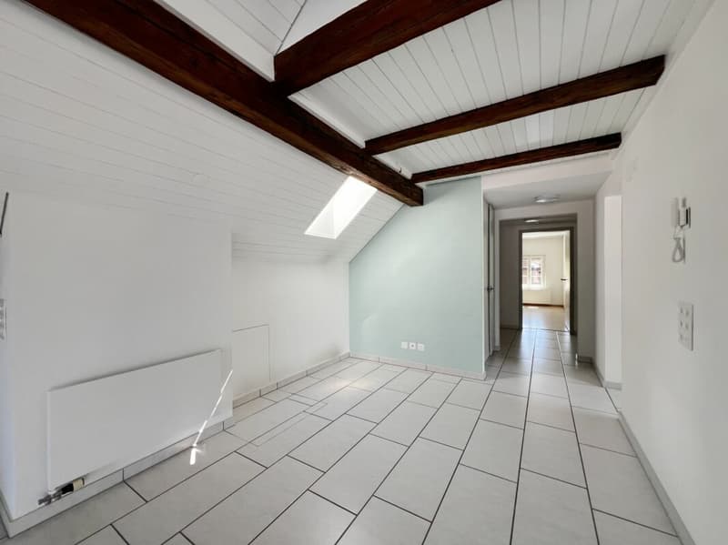 MAISONETTE WITH TERRACE AND WONDERFUL MOUNTAIN PANORAMA (13)
