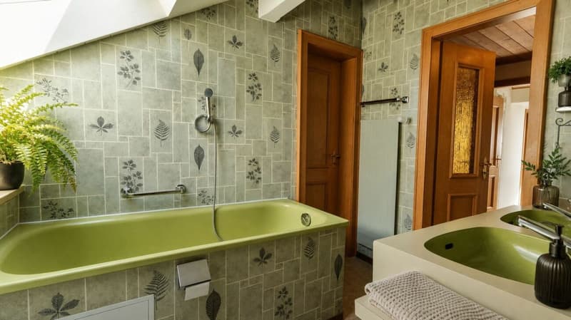 SPACIOUS ATTIC APARTMENT WITH MOUNTAIN VIEW (18)