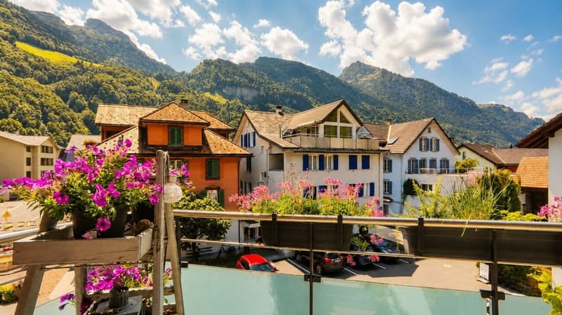 SPACIOUS ATTIC APARTMENT WITH MOUNTAIN VIEW (4)