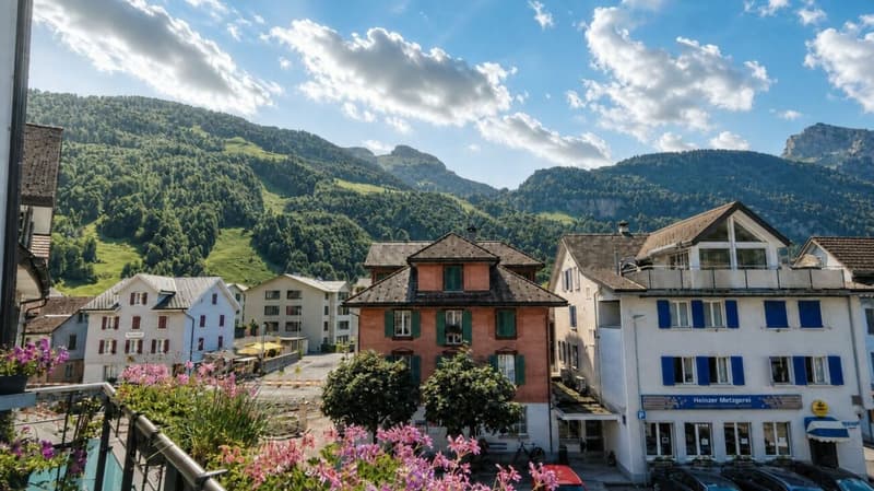 SPACIOUS ATTIC APARTMENT WITH MOUNTAIN VIEW (21)