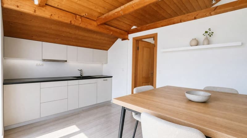 SPACIOUS ATTIC APARTMENT WITH MOUNTAIN VIEW (17)
