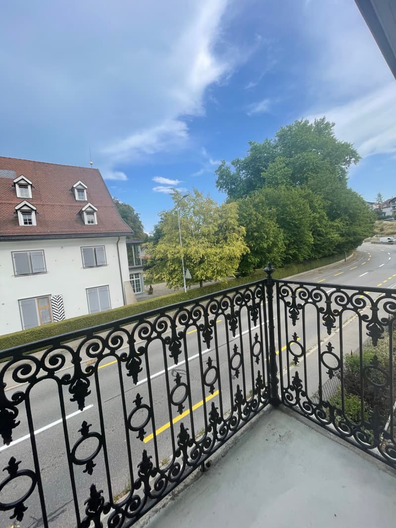 Charmante 3.5-Zimmerwohnung mit Balkon (4)