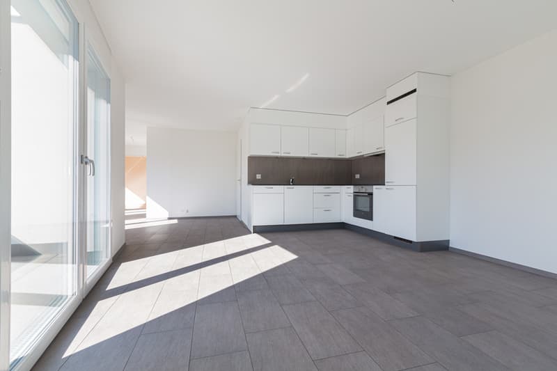 Appartement de 3,5 pièces magnifique avec grand balcon (5)
