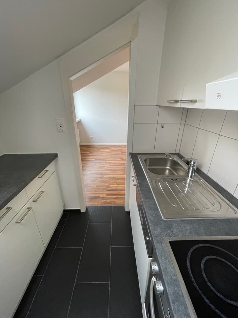 Charming 2-room apartment for rent (2)