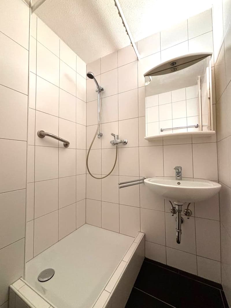 Charming 2-room apartment for rent (5)
