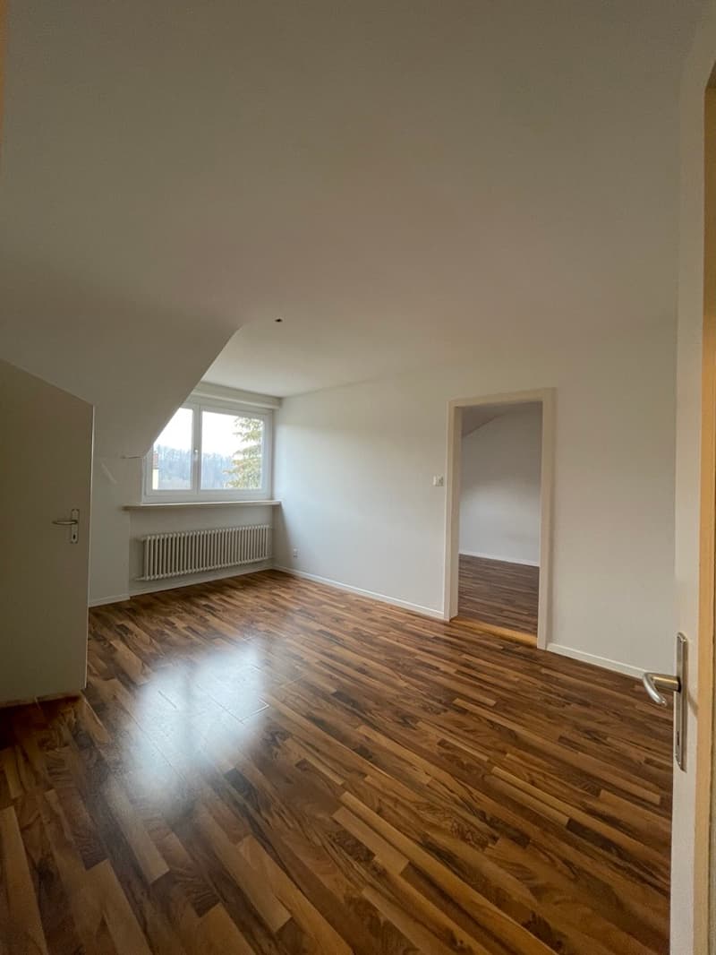 Charming 2-room apartment for rent (3)