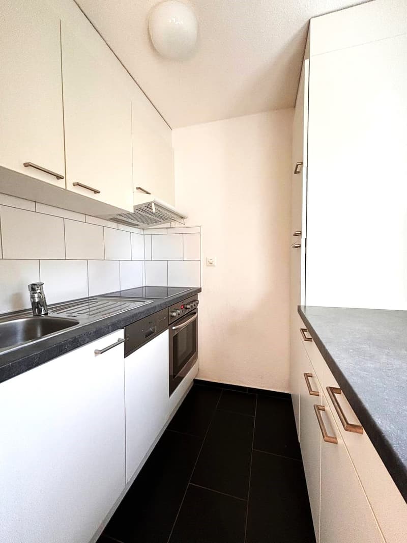 Charming 2-room apartment for rent (6)
