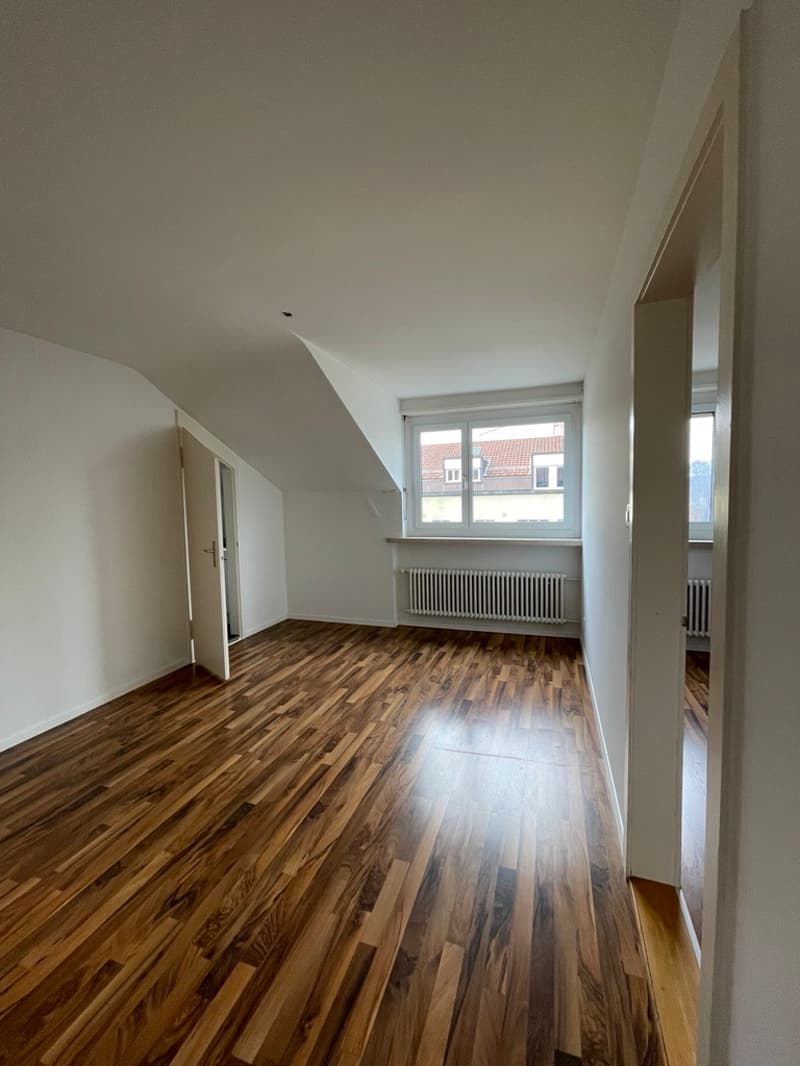 Charming 2-room apartment for rent (4)