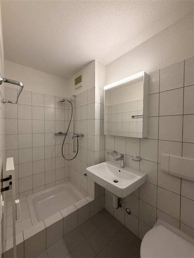 Grosszügige 4.5-Zimmerwohnung mit Balkon (9)