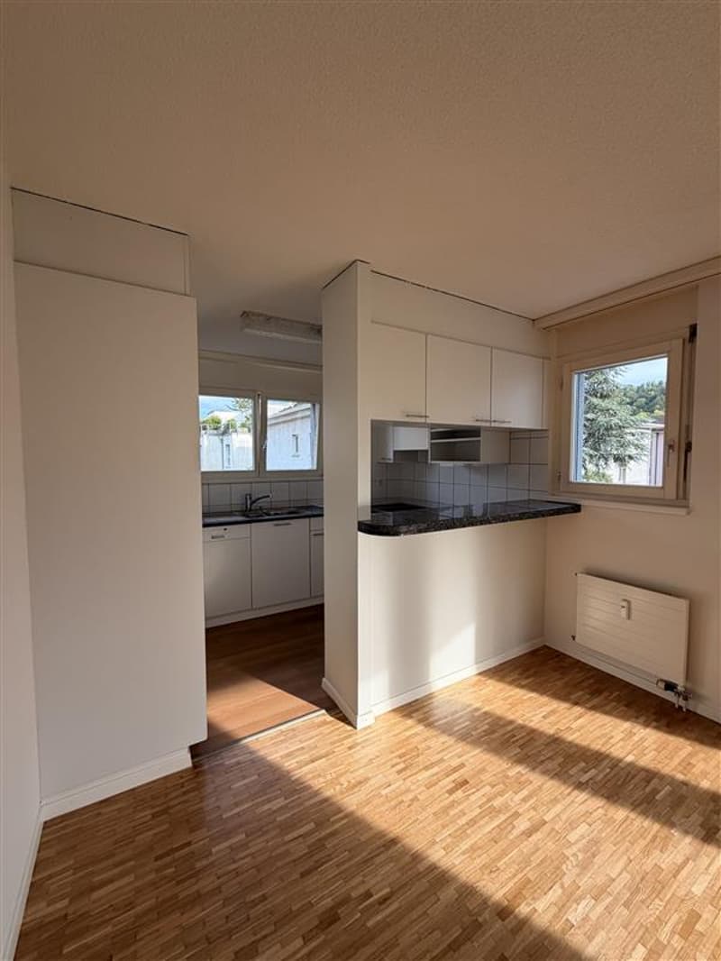 Grosszügige 4.5-Zimmerwohnung mit Balkon (5)