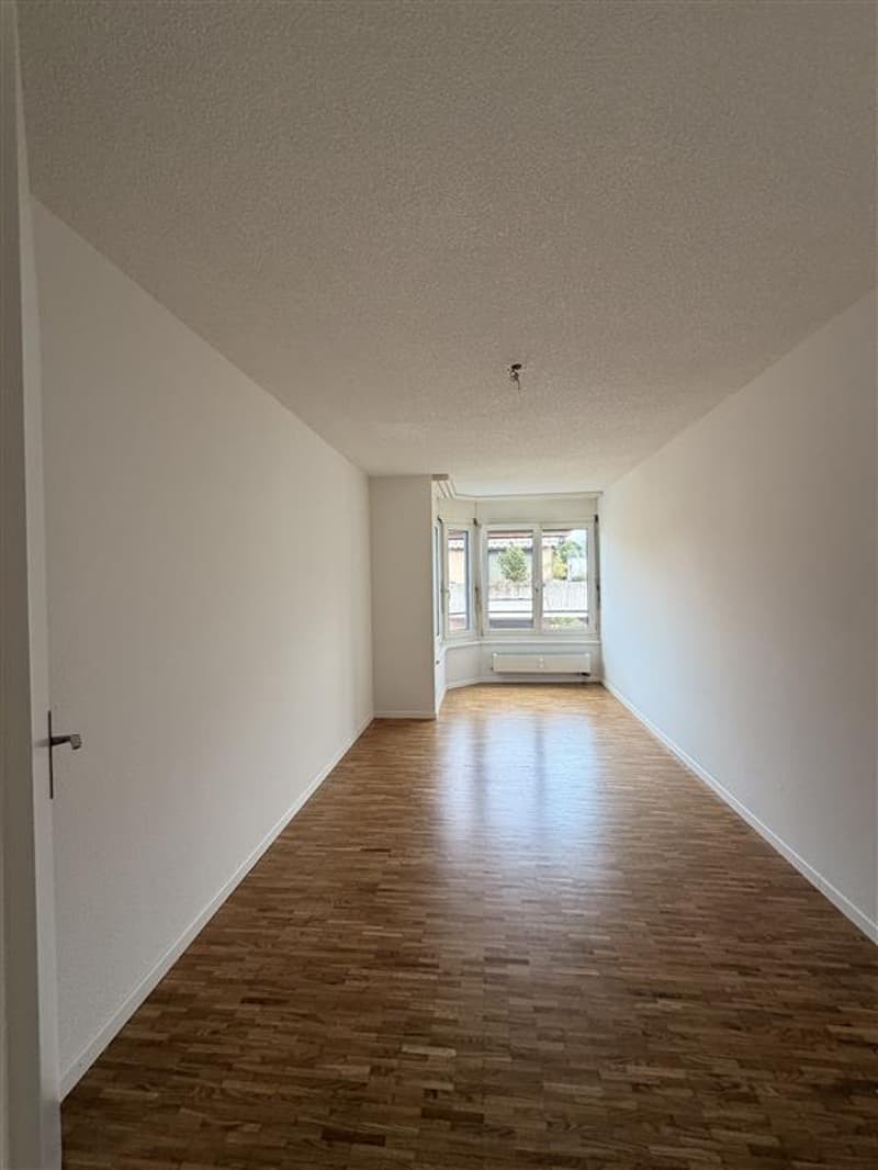 Grosszügige 4.5-Zimmerwohnung mit Balkon (8)