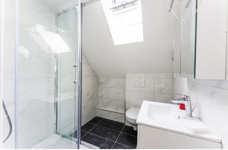 Appartement lumineux et moderne de 4,5 pièces à louer (3)