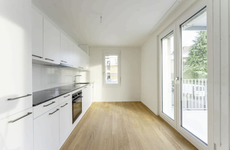 Appartement lumineux et moderne de 4,5 pièces à louer (2)