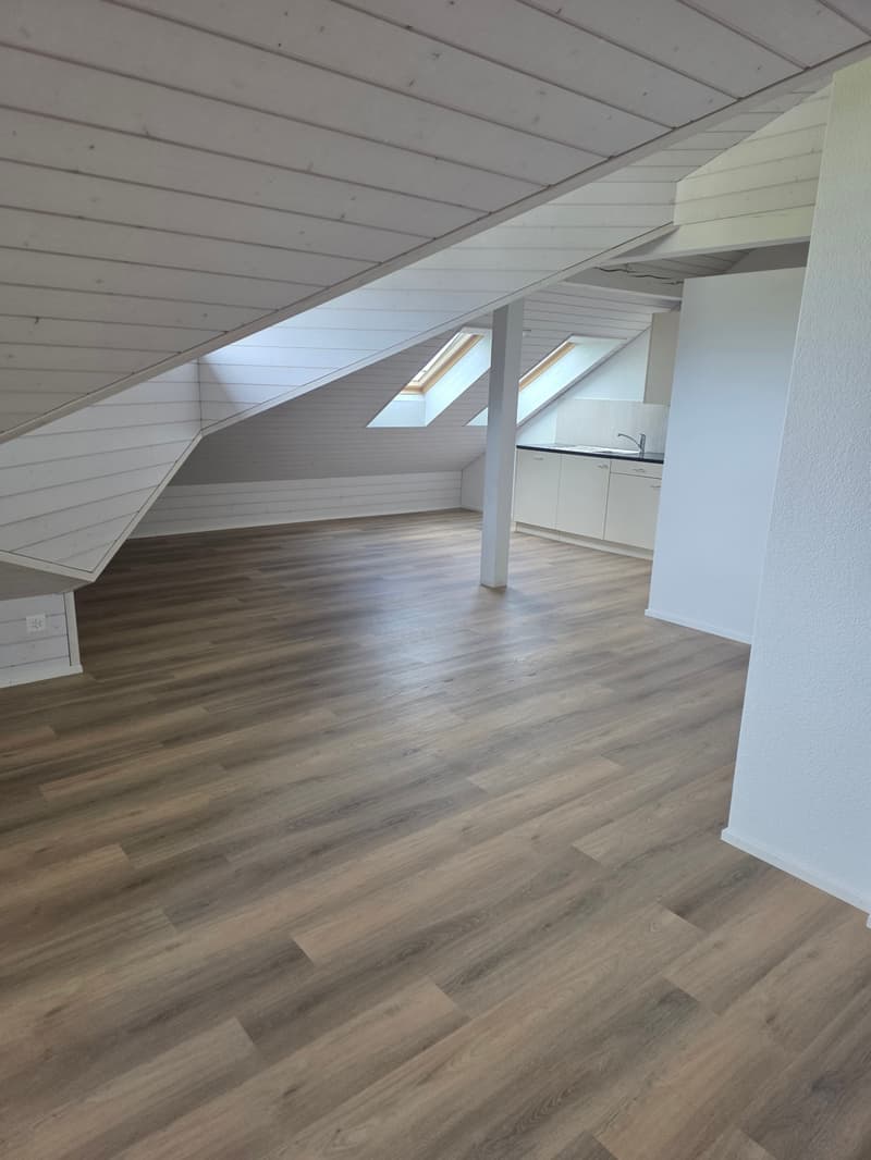 Wohnzimmer / Küche