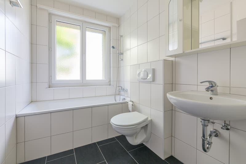 Appartement 3.5 pièces attractif à louer (7)