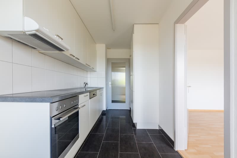 Appartement 3.5 pièces attractif à louer (4)