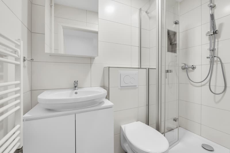 Voici votre nouvelle appartement de ville ! (6)