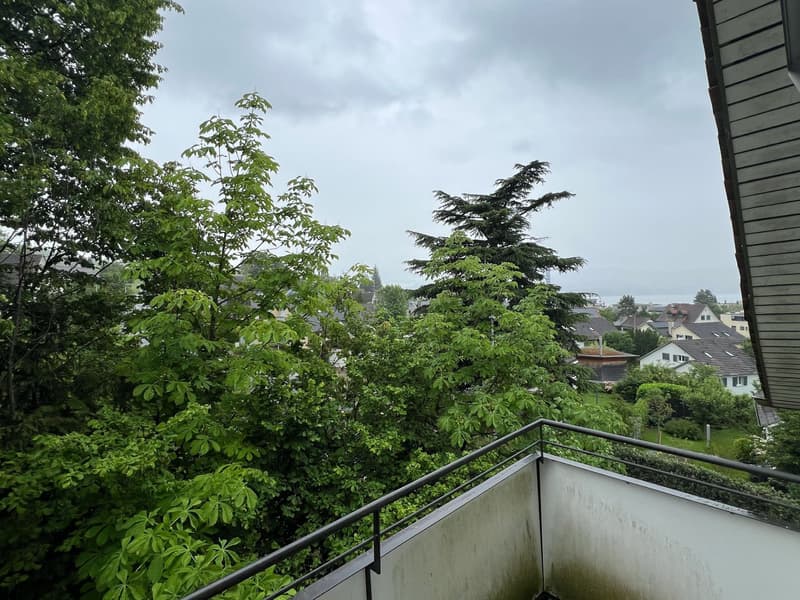 Bello appartamento di 4 locali con balcone in una posizione attraente a Dielsdorf (2)