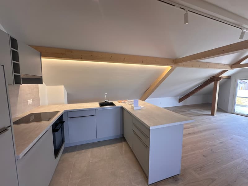 Appartement de maisonnette de 3,5 pièces de haute qualité avec confort (3)