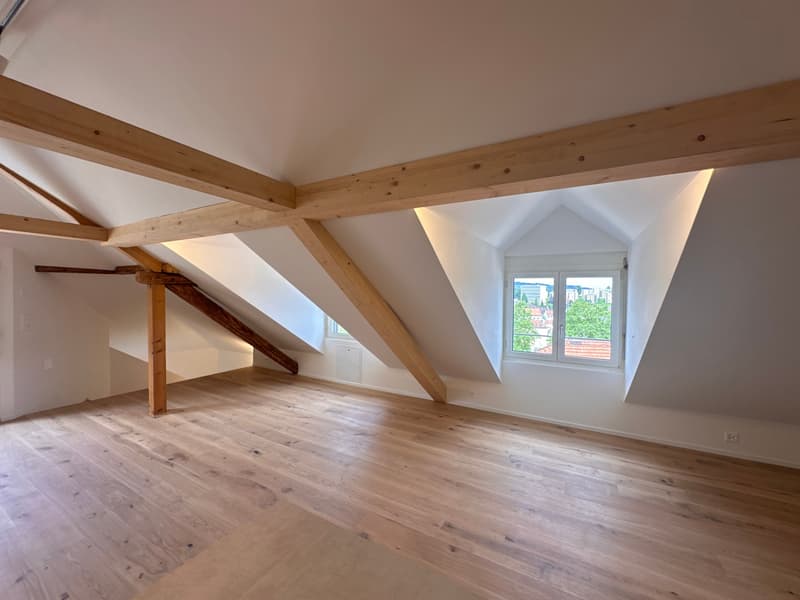 Appartement de maisonnette de 3,5 pièces de haute qualité avec confort (6)