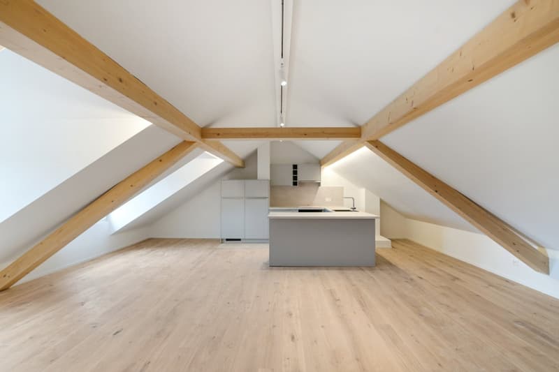 Appartement de maisonnette de 3,5 pièces de haute qualité avec confort (5)
