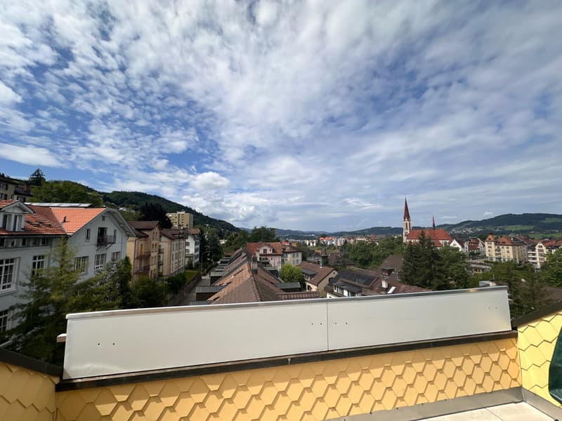 Appartement de maisonnette de 3,5 pièces de haute qualité avec confort (2)